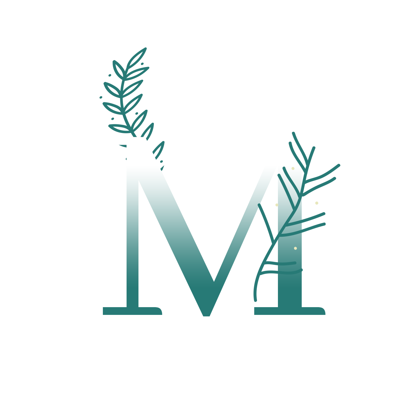 Complexe AMMI DRISS